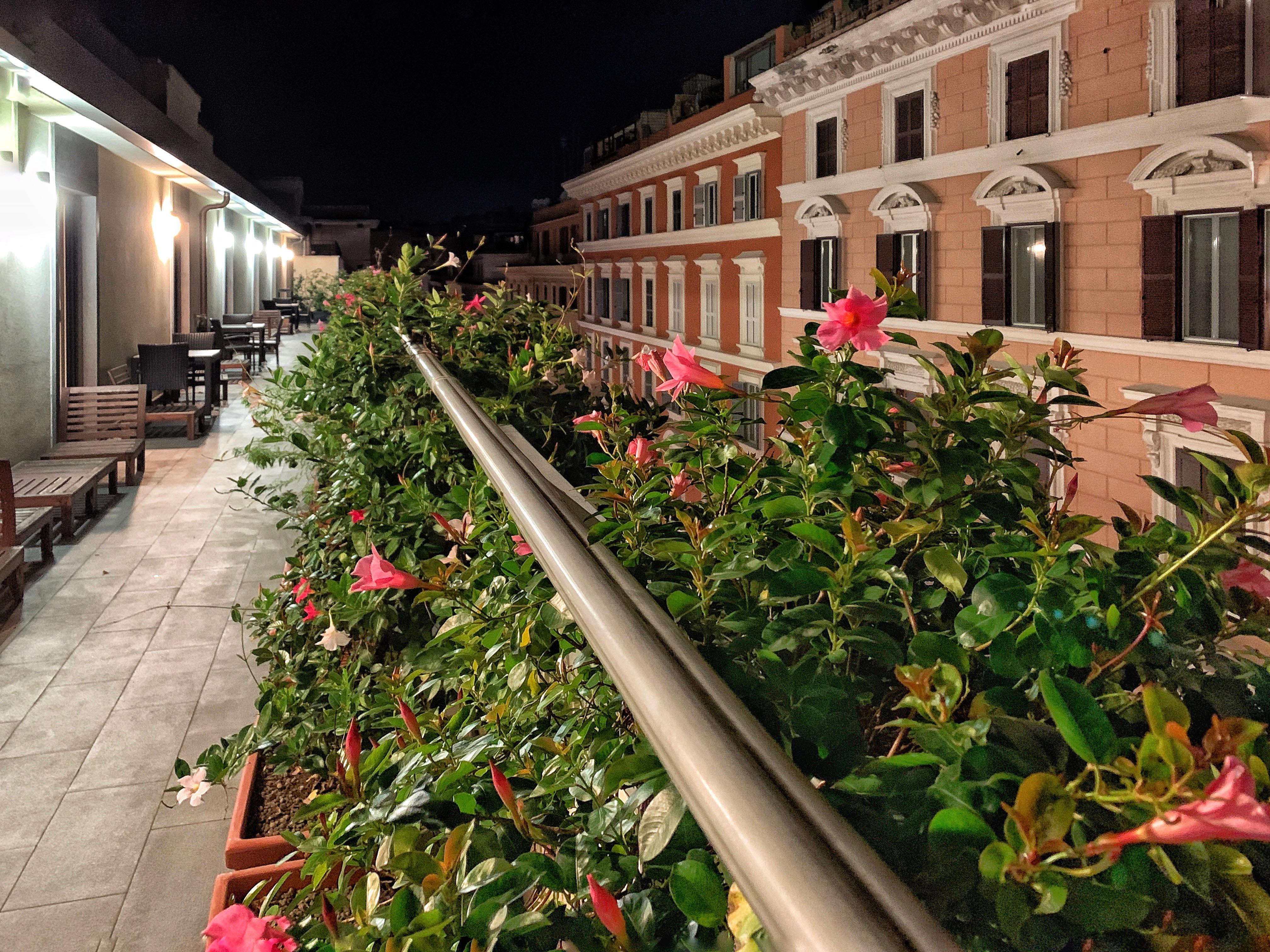 Domus Helena Hotel Rome Exterior photo